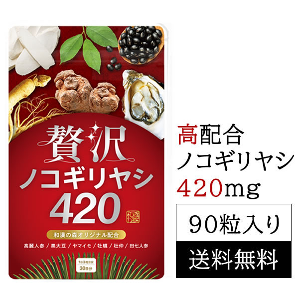 和漢の森　贅沢ノコギリヤシ420