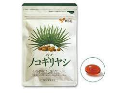 やわたノコギリヤシ